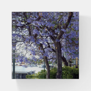 **"Jacaranda Reflections: Houseboats on the Murray Paperweight