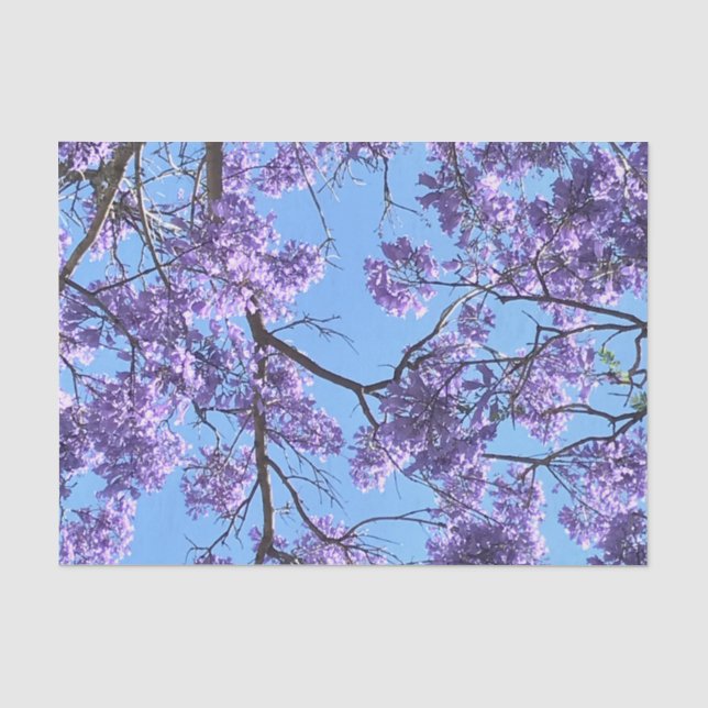Jacaranda Tissue Paper (Front)