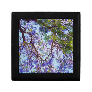 Jacaranda Tree Oil Paint, Wood Gift Box
