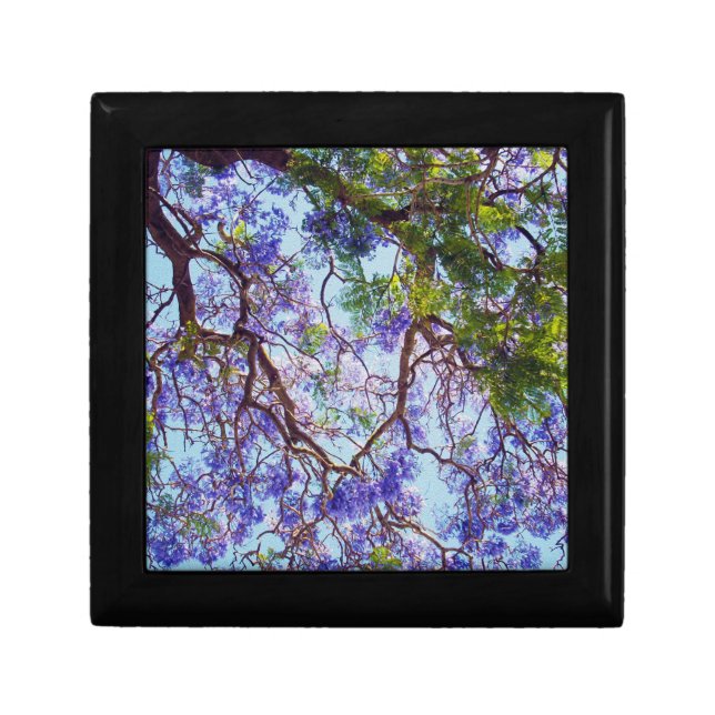 Jacaranda Tree Oil Paint, Wood Gift Box (Front)