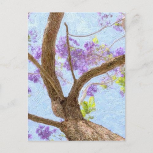 Jacaranda Tree Postcard