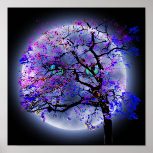 Jacaranda Tree With Cats Eyes Full Moon, Poster