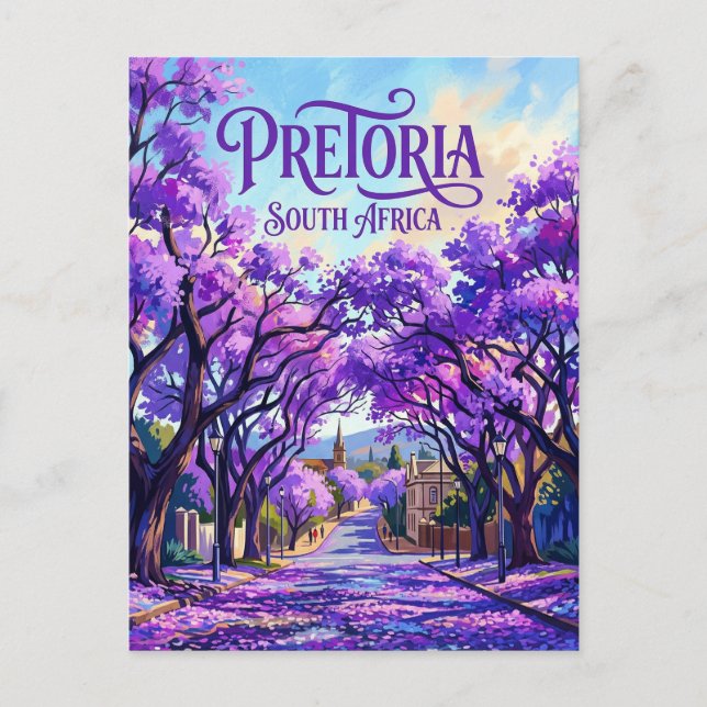 Jacaranda Trees of Pretoria South Africa Postcard (Front)