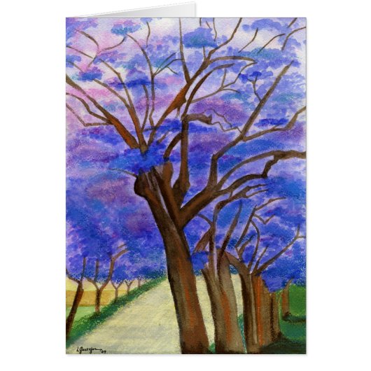 Jacarandas Cards (Front)