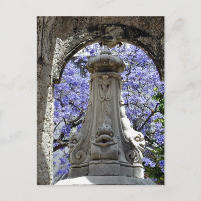 Jacarandi Postcard (Front)