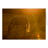 Jaci & Ava (Front Horizontal)