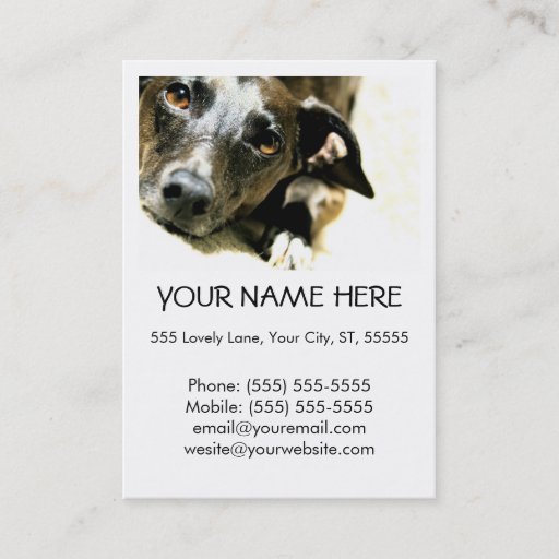 Customizable Jack Business Card