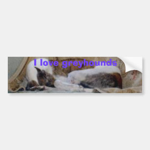 Jack copy bumper sticker