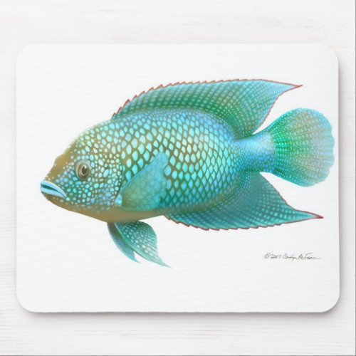 Jack Dempsey Cichlid Fish Mouse Pad