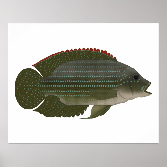 Jack Dempsey Poster (Front)