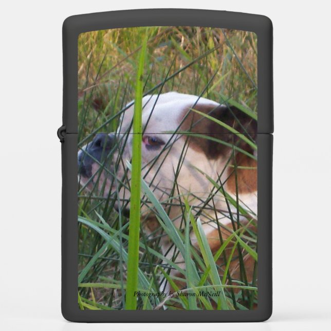 Jack dog zippo lighter (Front)