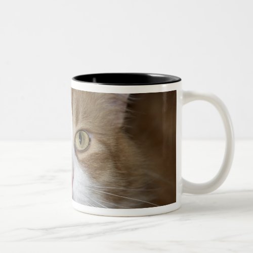 Jack domestic orange and white maine coon cat Two_Tone coffee mug
