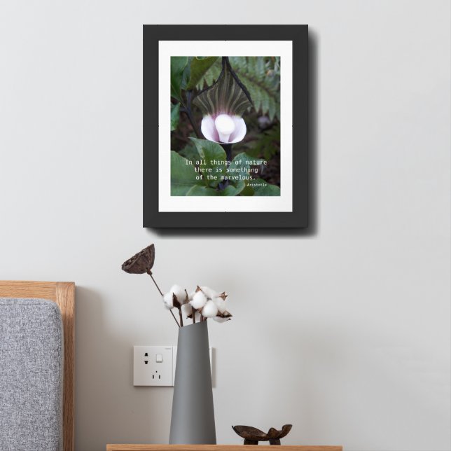 Jack-in-the-Pulpit Aristotle Philosophical Quote Framed Art (Bedside)