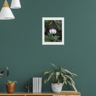 Jack-in-the-Pulpit Aristotle Philosophical Quote Poster