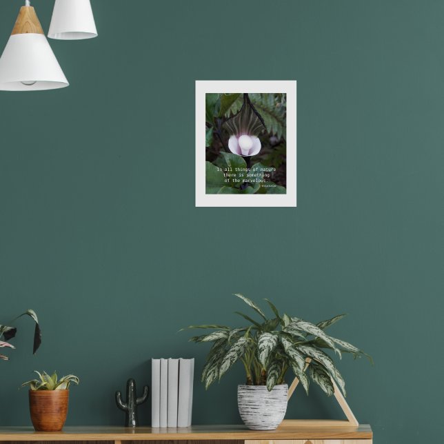 Jack-in-the-Pulpit Aristotle Philosophical Quote Poster (Living Room 1)
