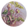 Jack-in-the-Pulpit Botanical Flower Round Sticker