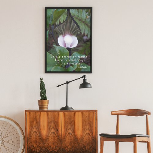 Jack_in_the_Pulpit Plant Aristotle Nature Quote Poster