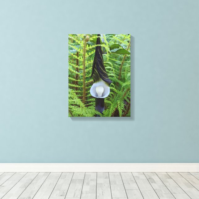 Jack-in-the-Pulpit Woodland Plant Floral Canvas Print (Insitu(Wood Floor))