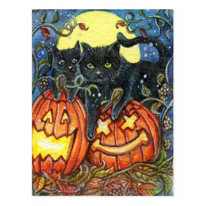 Jack-O'-Lantern and Black Cats Postcard