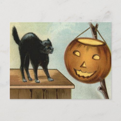 Jack O Lantern Black Cat Pumpkin Postcard