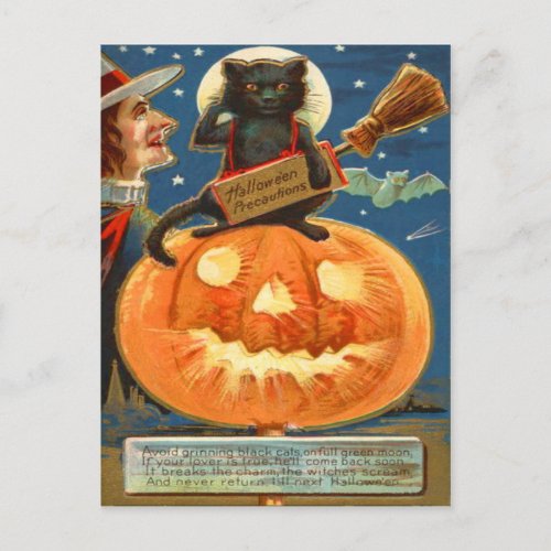 Jack O Lantern Black Cat Witch Bat Postcard