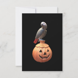 Jack-O-Lantern Halloween African Grey Parrot Card