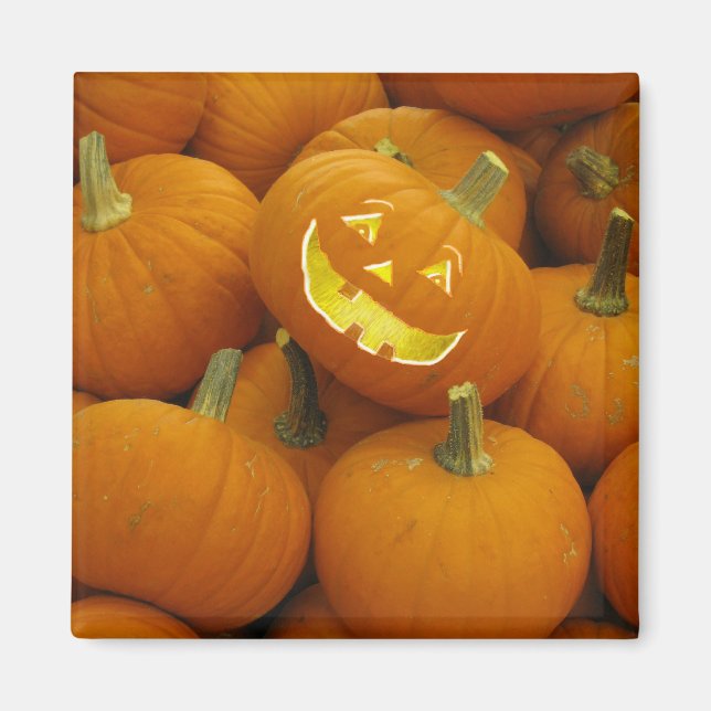 Jack-O-Lantern in a Pumpkin Pile Magnet (Front)