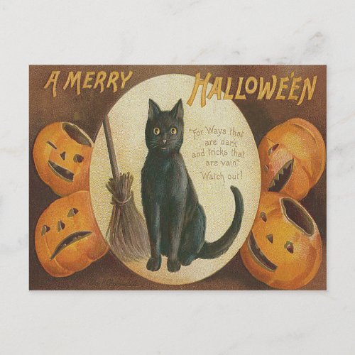 Jack O Lantern Pumpkin Black Cat Broom Postcard