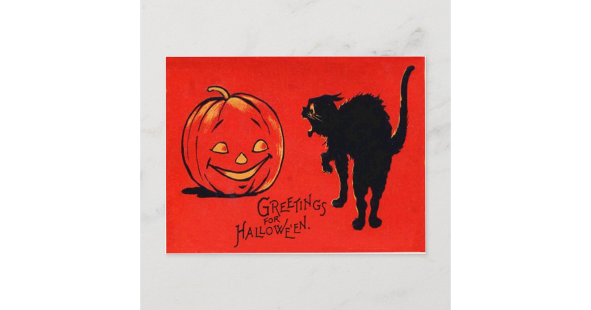 Jack O Lantern Pumpkin Black Cat Postcard | Zazzle