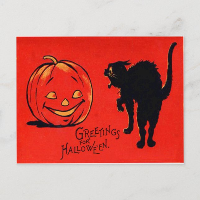 Jack O Lantern Pumpkin Black Cat Postcard (Front)
