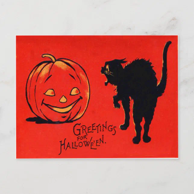 Jack O Lantern Pumpkin Black Cat Postcard | Zazzle