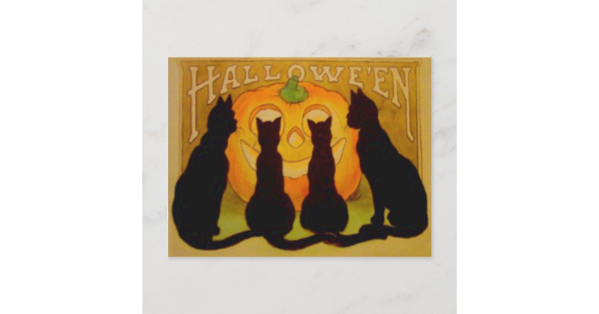 Jack O Lantern Pumpkin Black Cat Postcard | Zazzle
