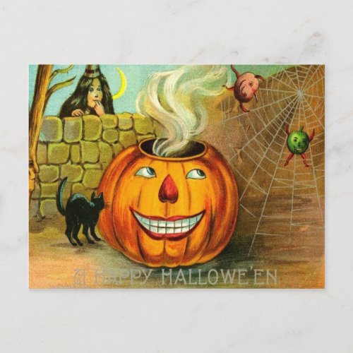 Jack O Lantern Pumpkin Black Cat spider Web Postcard