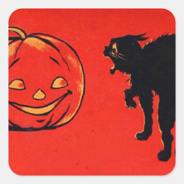 Jack O Lantern Pumpkin Black Cat Square Sticker (Front)