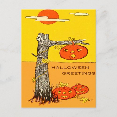 Jack O Lantern Pumpkin Tree Leaves Postcard