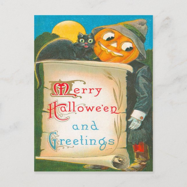Jack O Lantern Scarecrow Black Cat Postcard (Front)