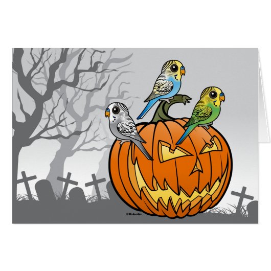 Jack O'Budgies Cards (Front Horizontal)