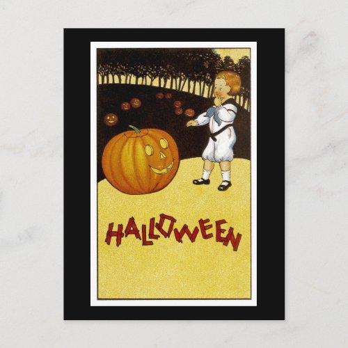 Jack oLantern Pumpkin Patch Halloween Postcard