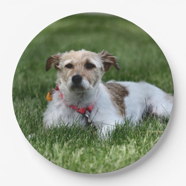 Jack  paper plates (Front)