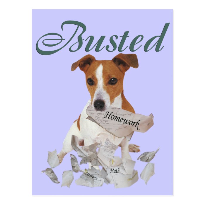 Jack Russel Busted Post Card