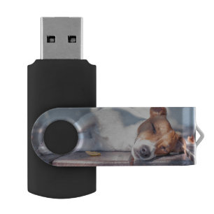 Jack Russel On Autumn Porch USB Flash Drive