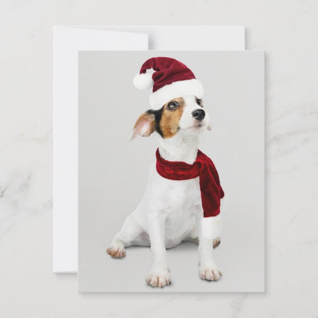 Jack Russel Puppy wearing Santa Hat Holiday Card (Front)