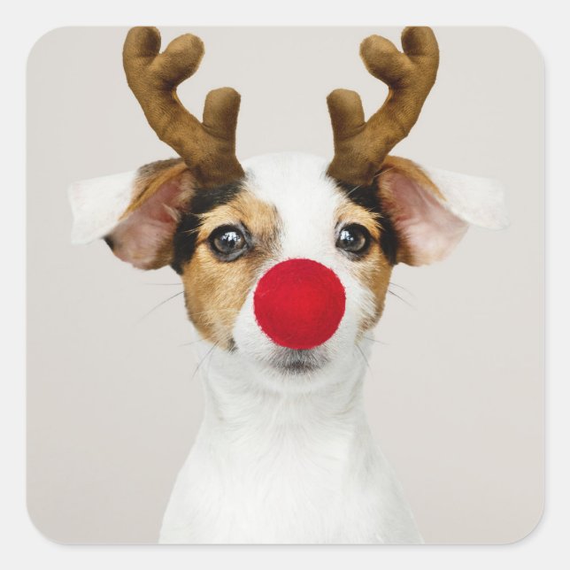 JACK RUSSEL TERRIER AS REINDEER STICKER (Front)