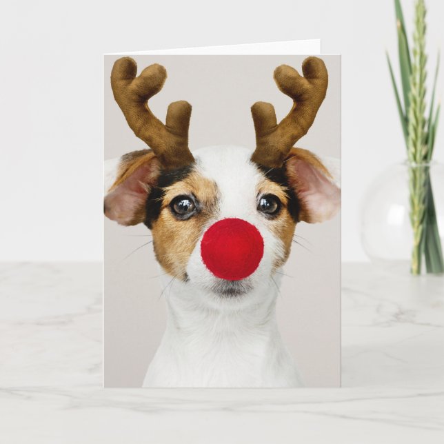 JACK RUSSEL TERRIER CHRISTMAS Folded Card (Front)