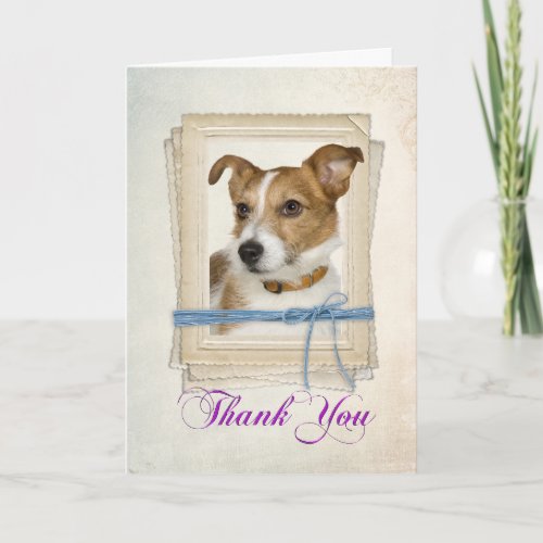 Jack Russel Terrier Thank You Card