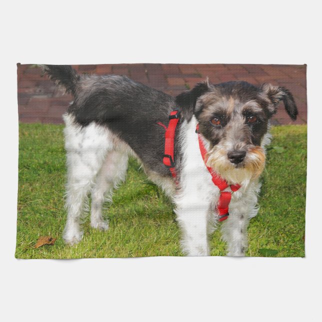 jack russel terrier towel (Horizontal)