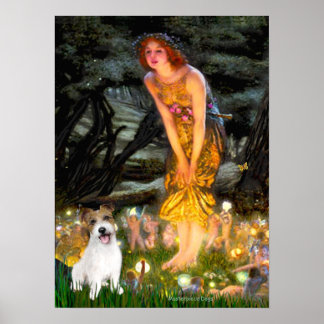 Jack Russell 11 - MidEve Poster