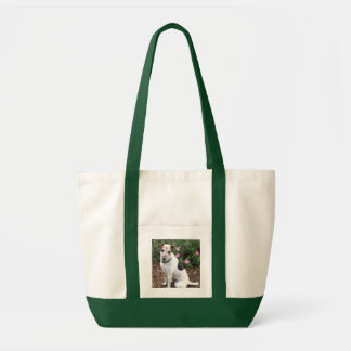 Jack Russell adorns useful tote bag