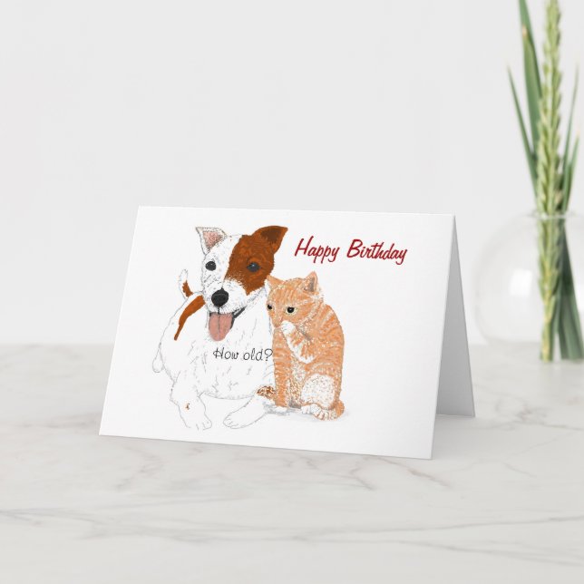 Jack Russell and Kitten Birthday Card (Front)