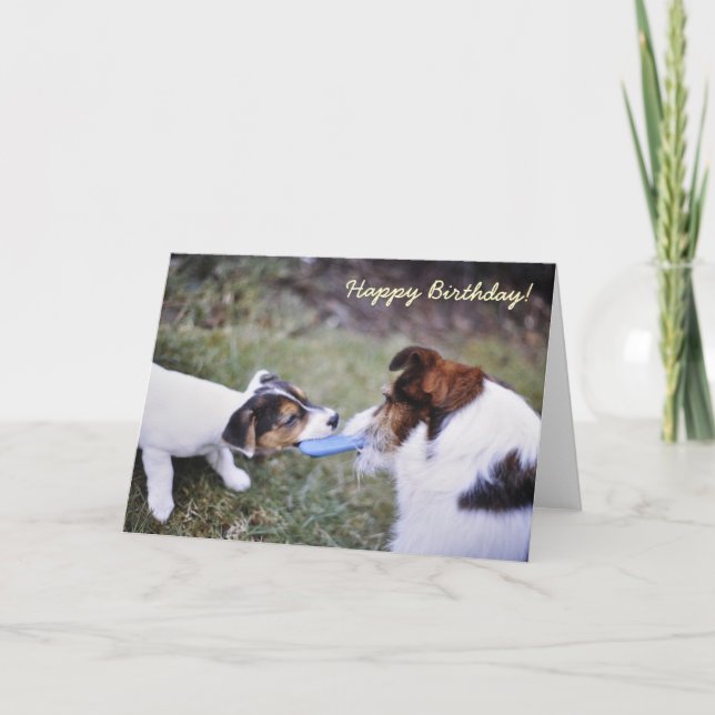 Jack Russell birthday card (Front)